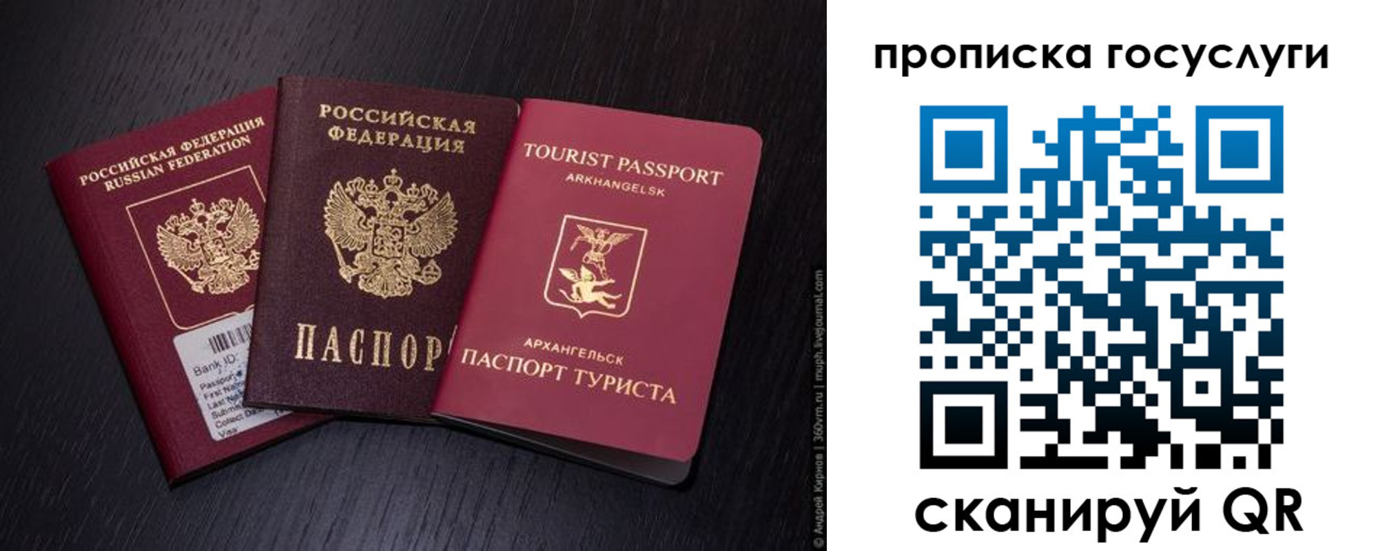 прописка 2025 в Кольчугино