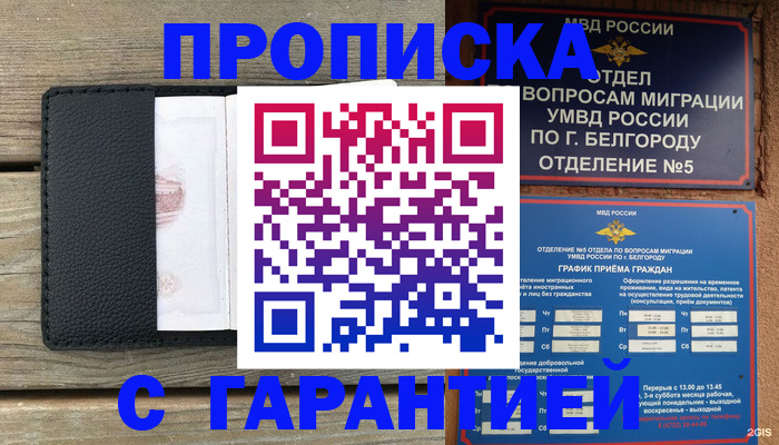 временная регистрация для всех в Кольчугино