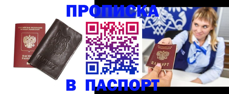 где прописаться в Кольчугино